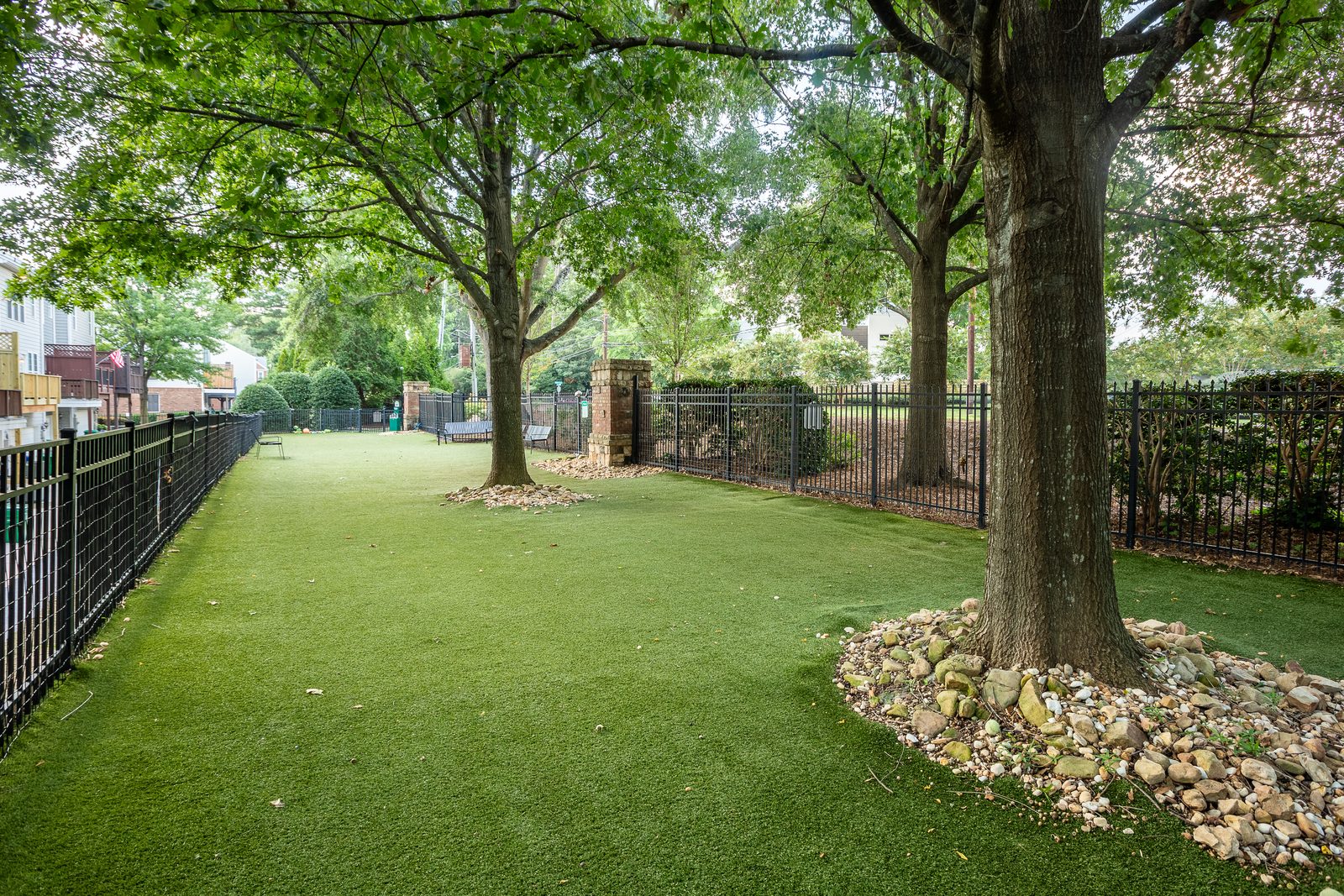 Dog Park Rear